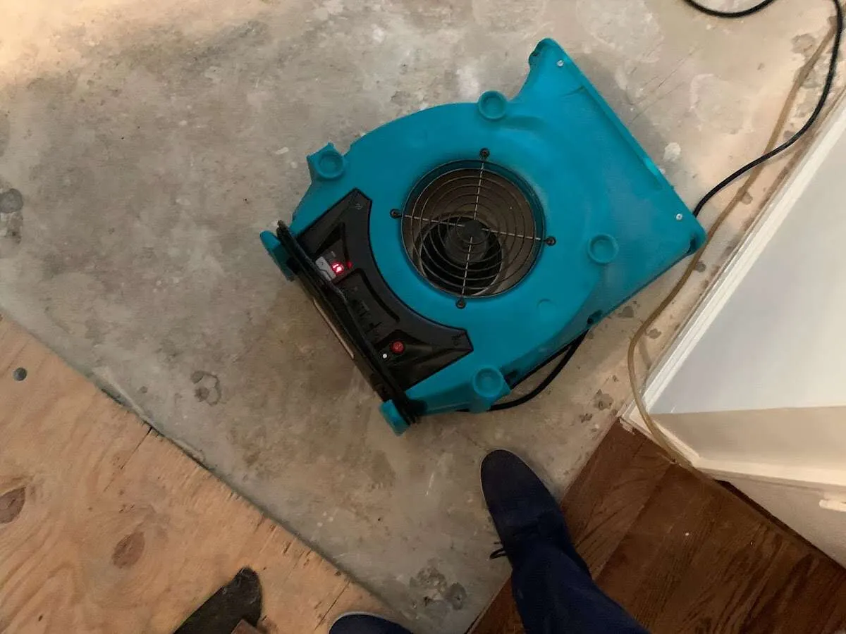 Air mover drying subfloor during Leak Detection & Repair in Rossville